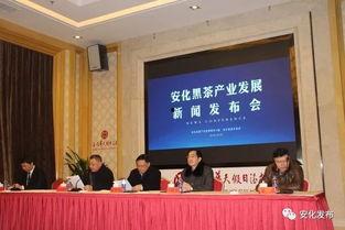 生活帮爆料黑茶新闻报道,黑茶市场乱象，真相曝光！